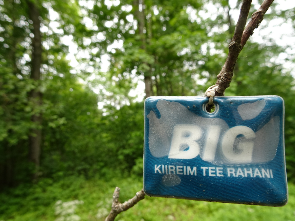 12 valu kiirem tee 2025 20250708 v