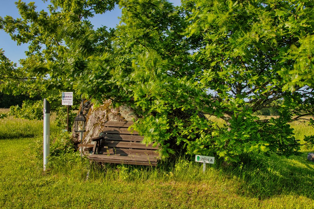 17 laanemaa iideva hiiekivi 20251015 v