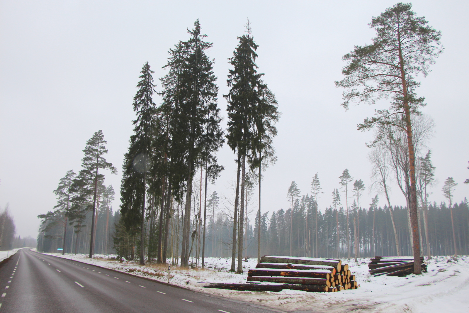 Räpina khk Nulga k ristimets peale RMK rüüstet 02.2020