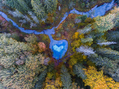 siniallikas 2 hmantson 2020