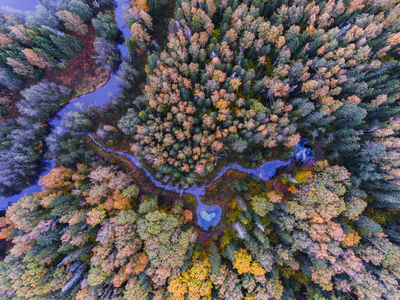 siniallikas 4 hmantson 2020