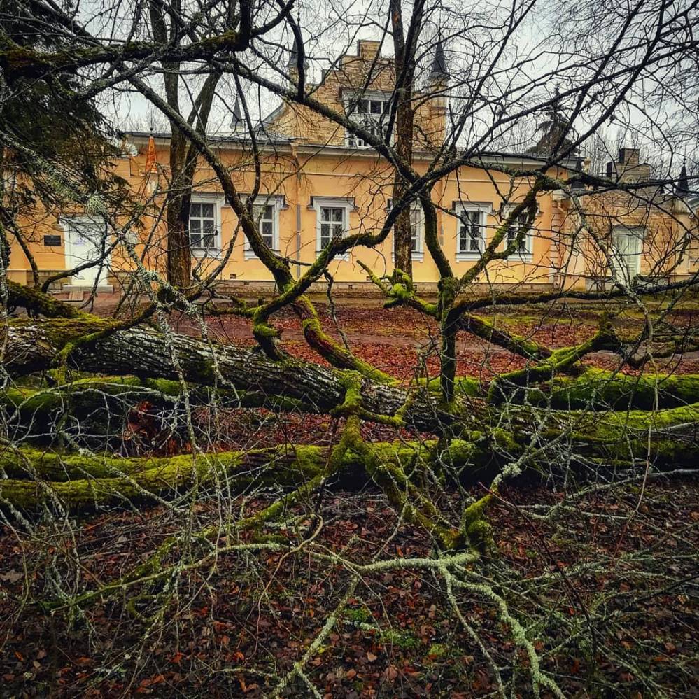 После урагана в усадьбе Извара