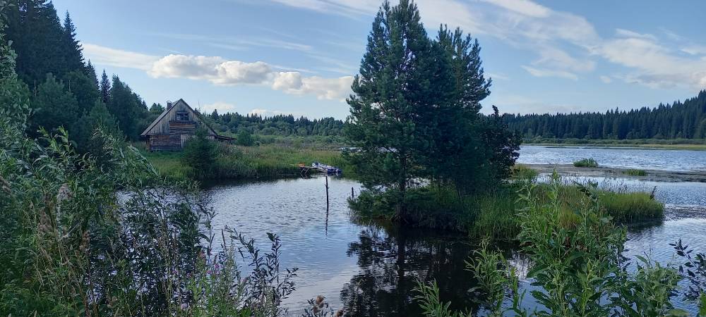 Бырем гурт вадьсын (у исчезнувшей деревни)