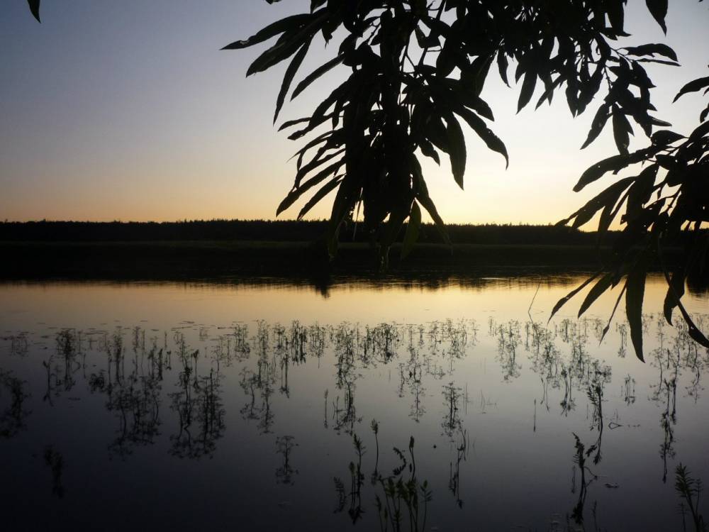 Красоты Пинеги