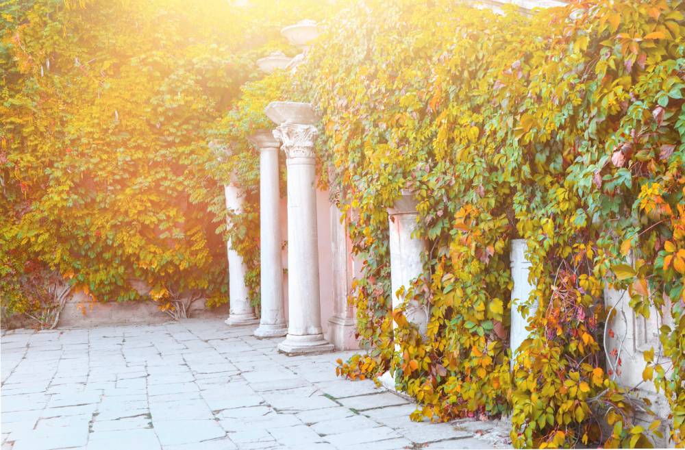 Херсонес Таврический