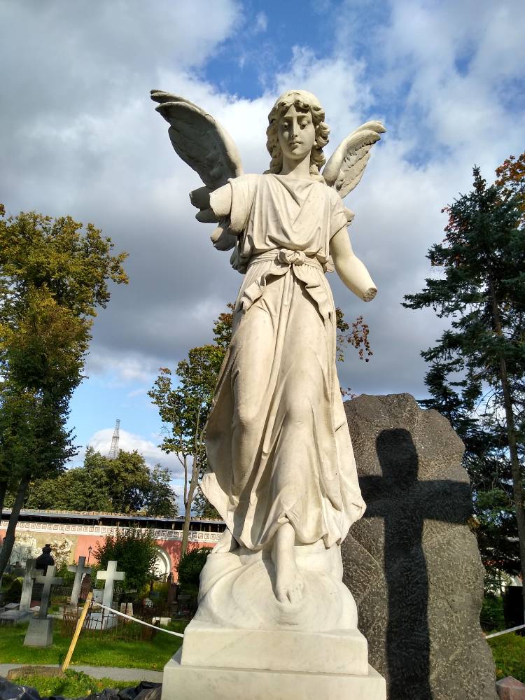 Священые рощи Донского монастыря