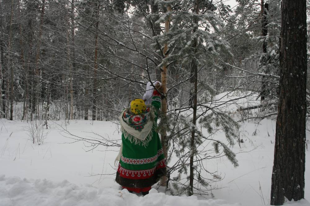 Священная береза