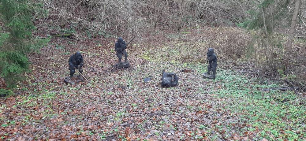 Karujaht Kassinurme mägedes 