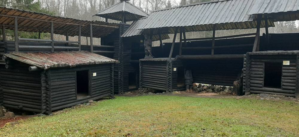 Kassinurme linnamägedes asuv linnus