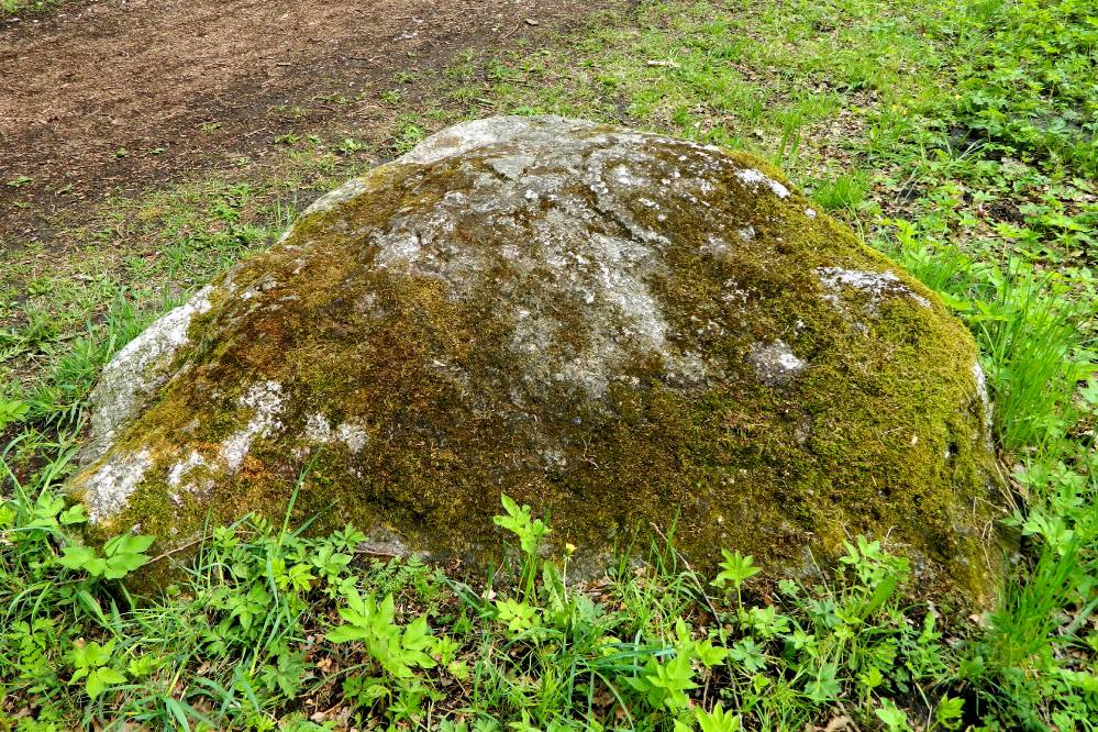 Неожиданное совсем рядом