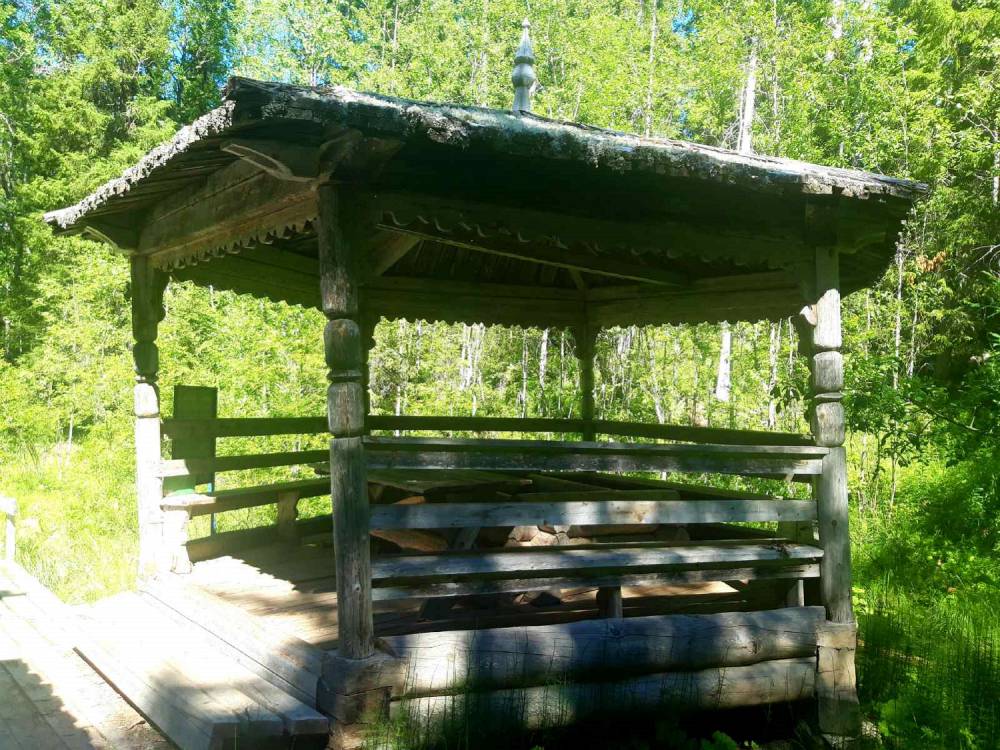 Памятник природы «Урочище Куртяево». Архангельская область.