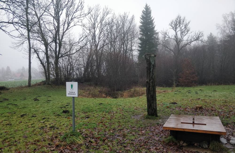 Tuhala nõiakaev kerges udus - 5 päeva enne jõule