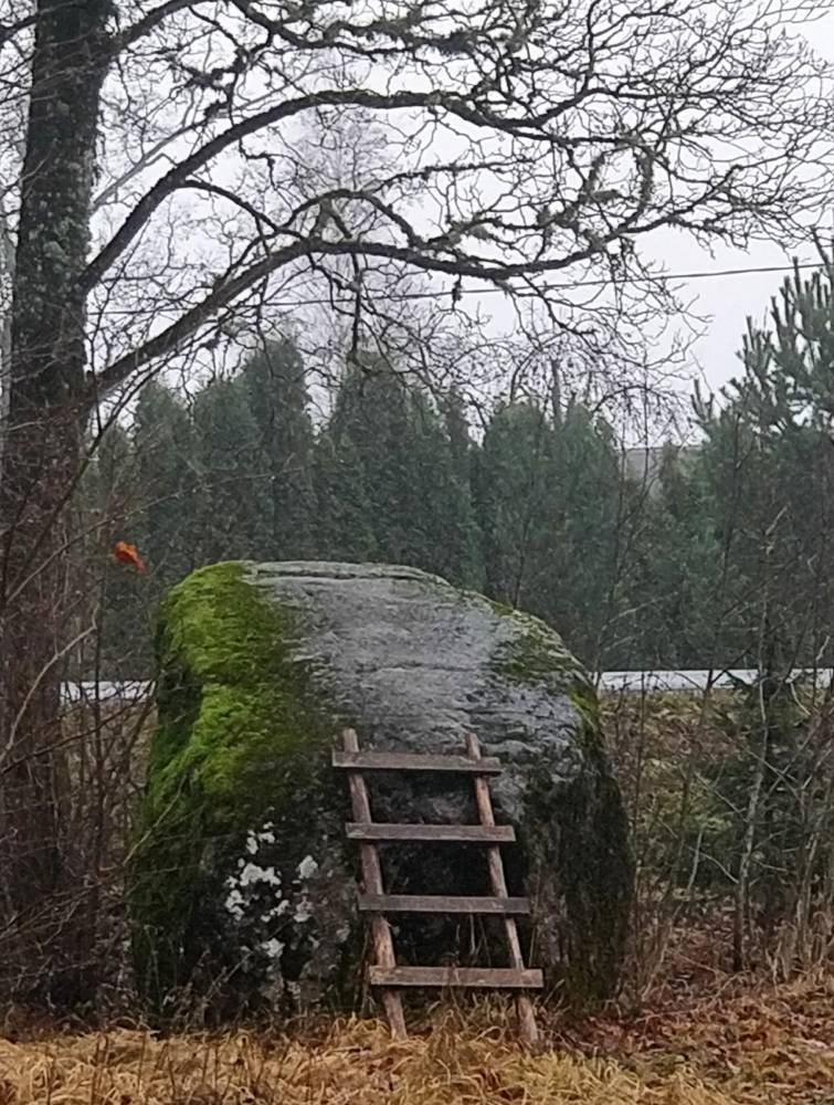 Loota kivi redeliga - Luhala Looduskeskuse parklas