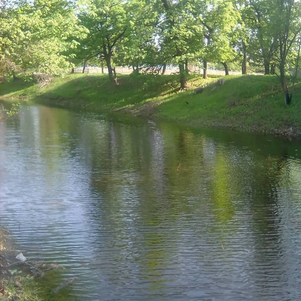 Лесное озеро.