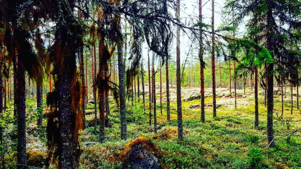 Muinaisen äärellä