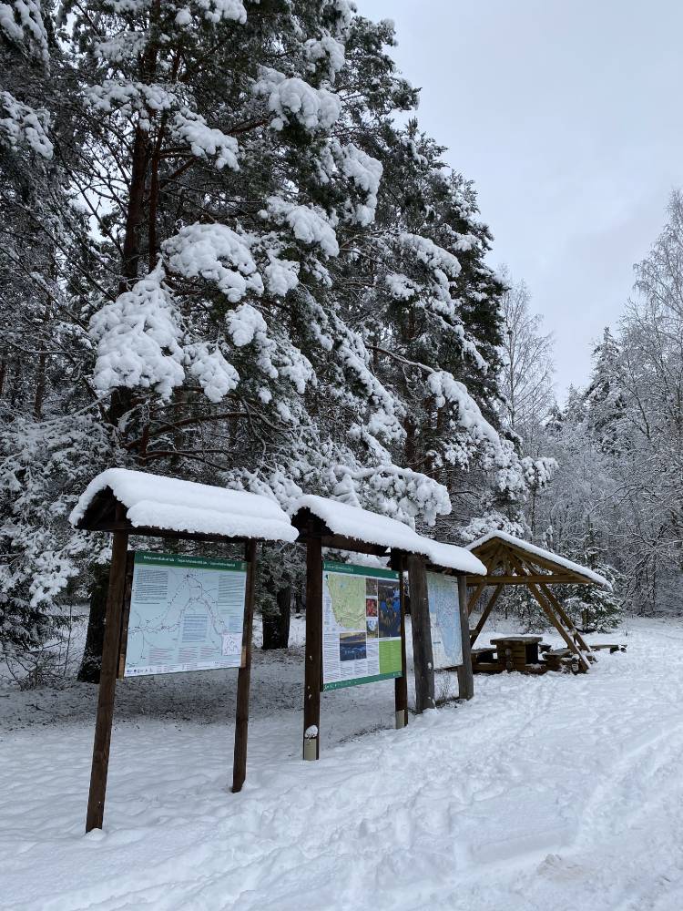 Otsides Tellingumäe ohvrikivi