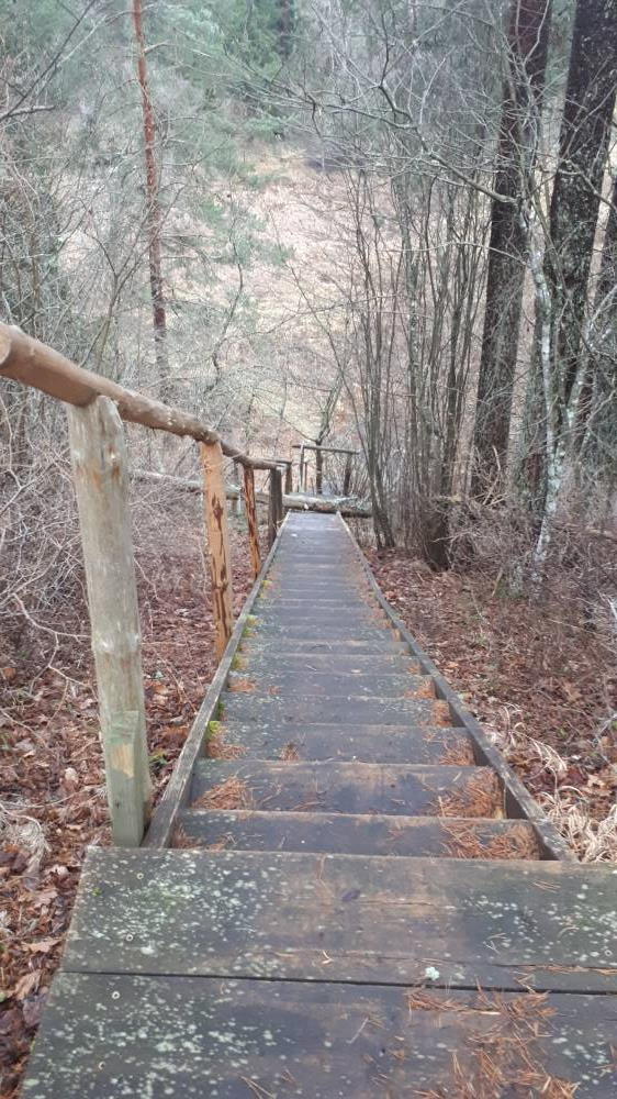 Kerikmägi - allasaamise trepp