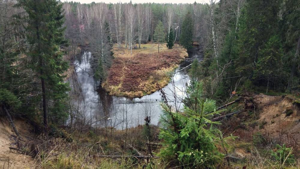 Священный лес Райвола