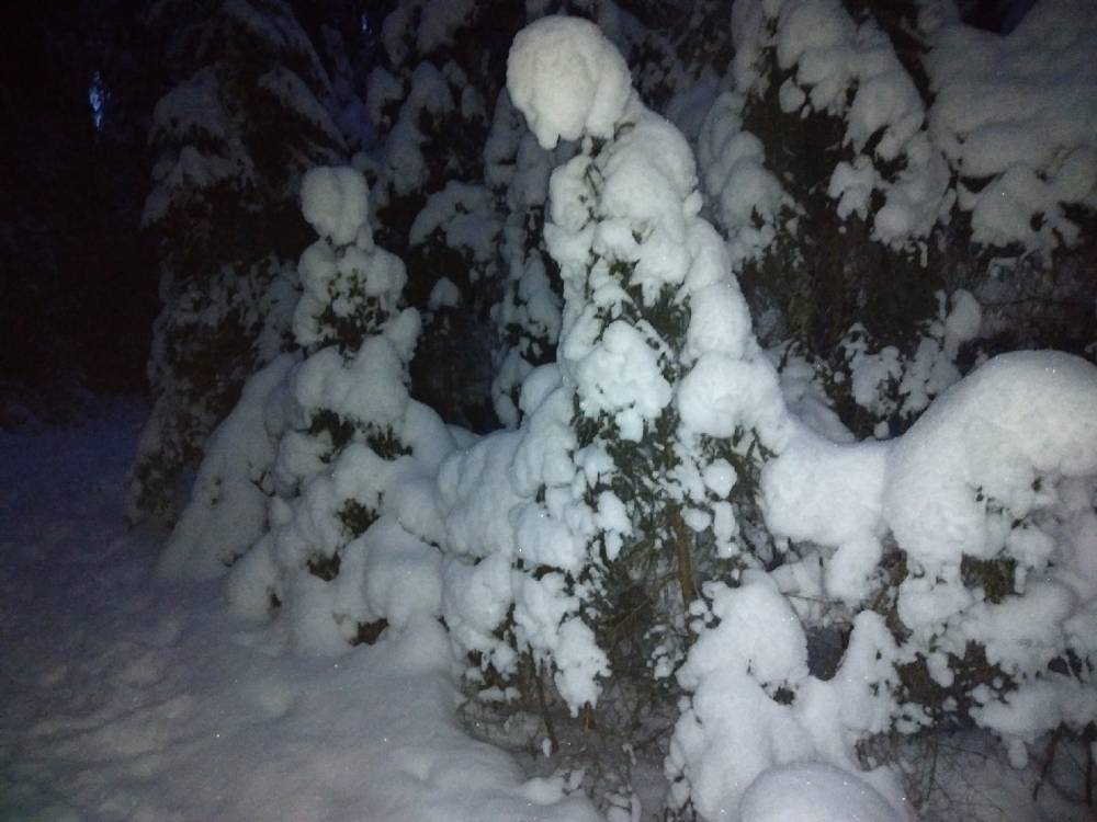 Женские фигуры в платьях в зимней Райволе