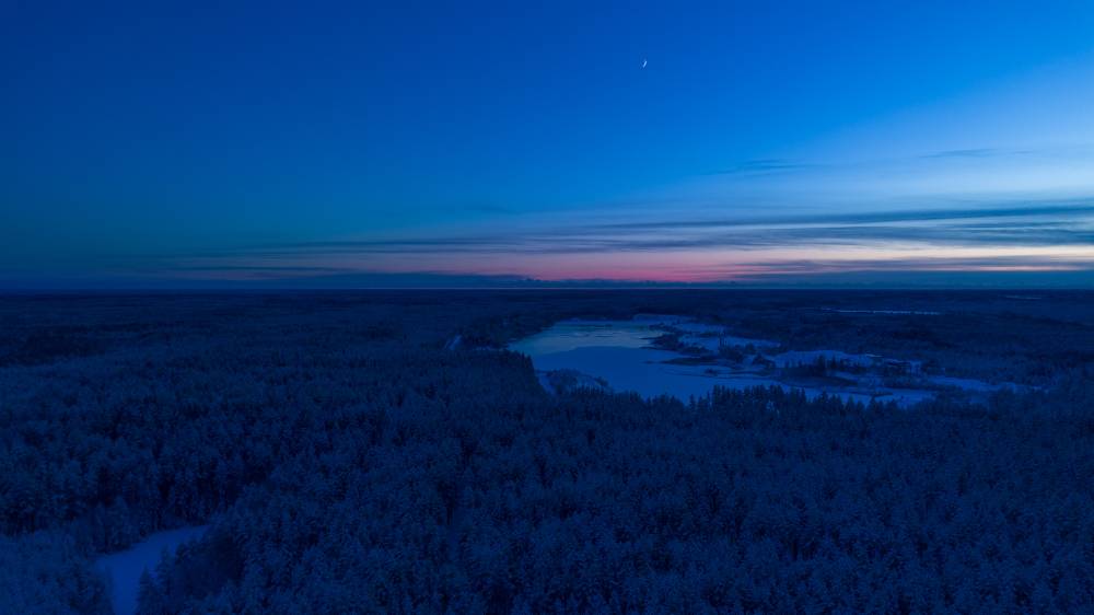 Panjärve videvik