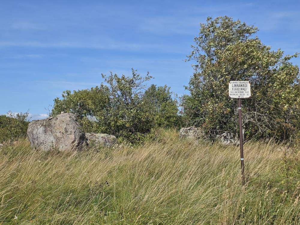Ehmja kuradikivi