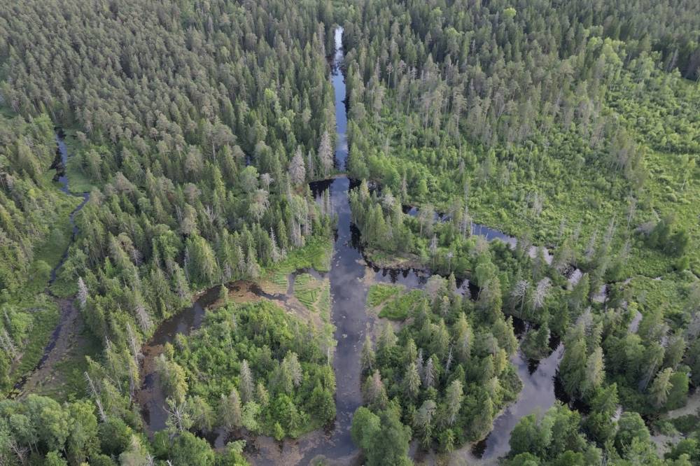 Ilma võti