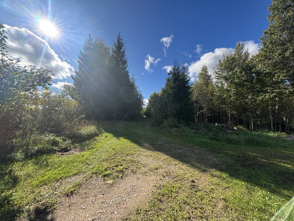 Iivakivini viiva metsaraja algus, kuhu saab auto jätta
