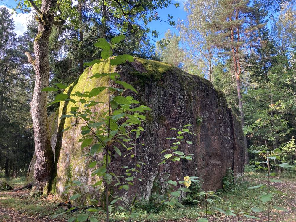 Pahkla Kivide Kuningas