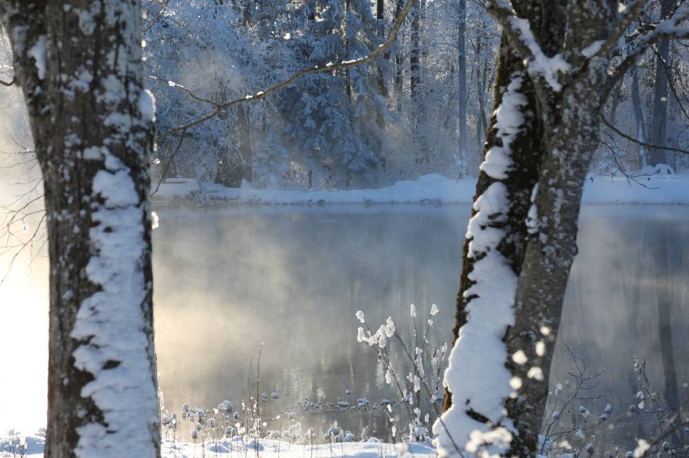 Udulooris allikajärv