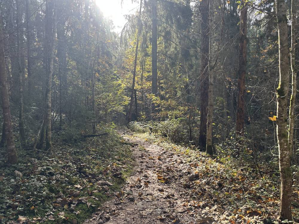 Jalutuskäik Loodi Põrguorgu