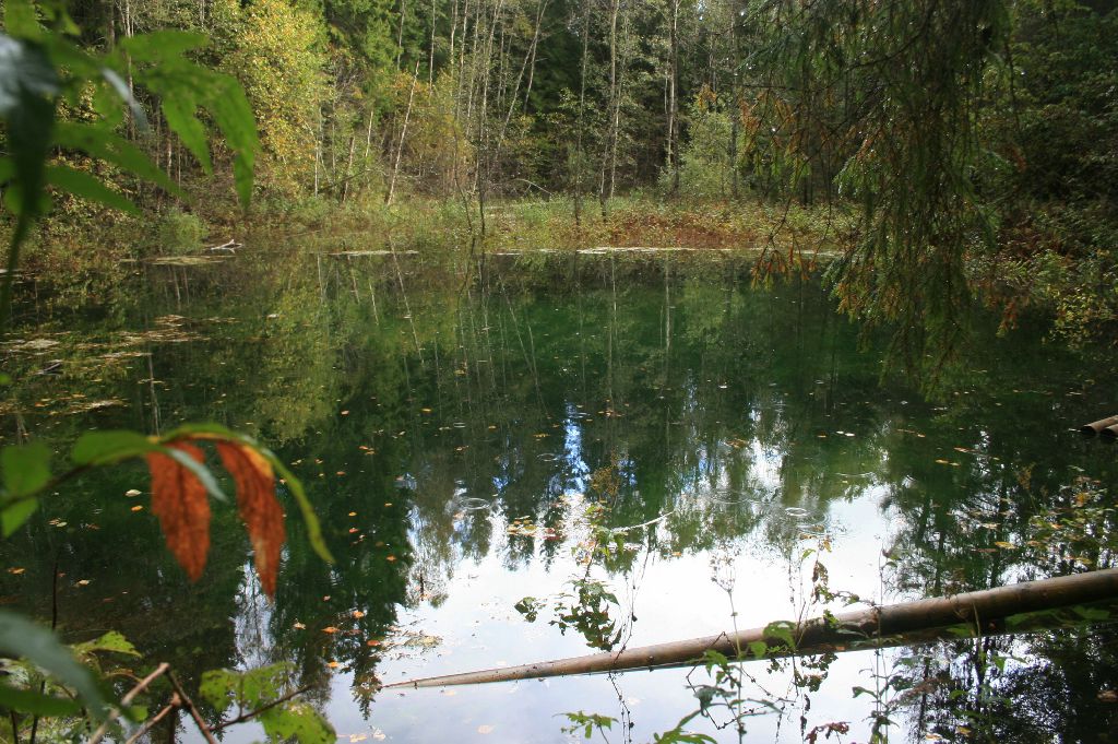 Maanteele lähim allikas - Siniallikas