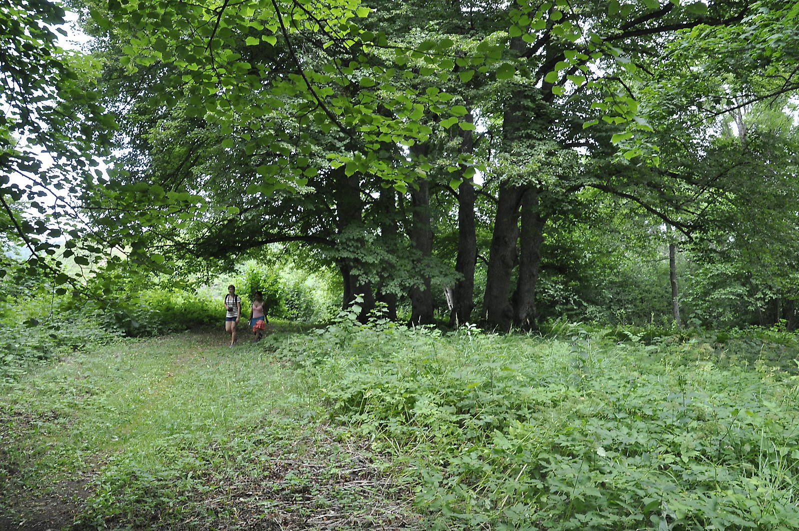 Pühapaigast tulemas