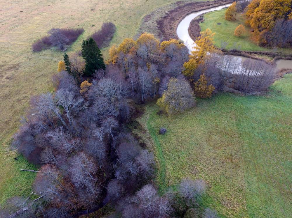 Kuldhõbe-roheline värvimäng