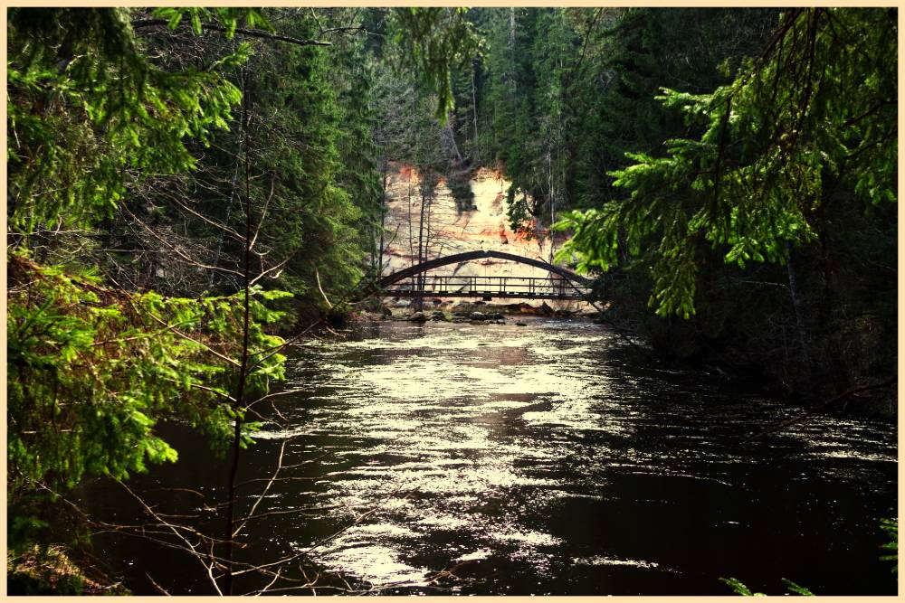 Sild kahe kalda vahel