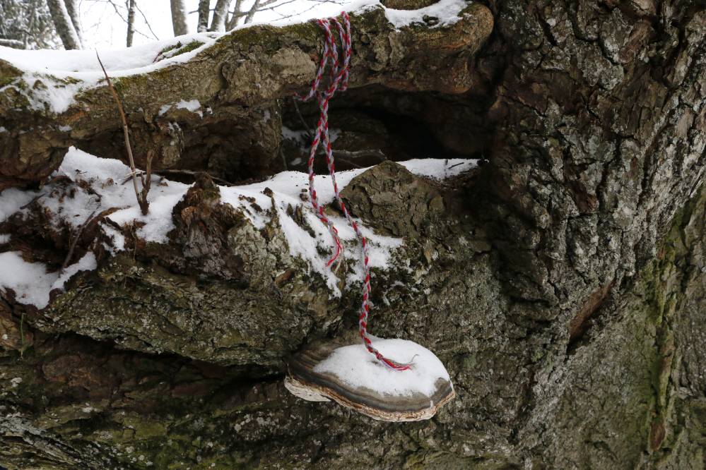 Pael Riibaku päranal