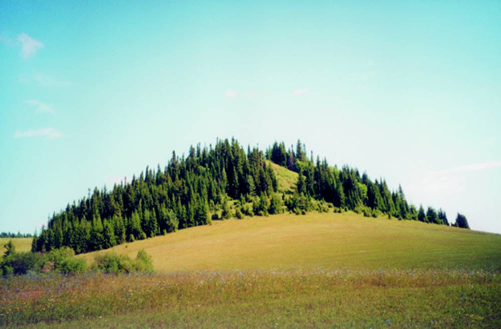 Священное возвышение шарканских удмуртов Каргурезь (‘городищенская гора’)