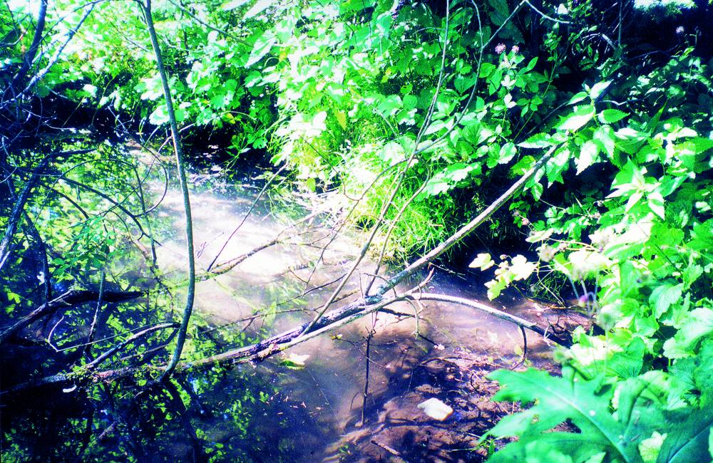 Священный родник Тӧдьы ошмес (‘белый, светлый, святой родник’)