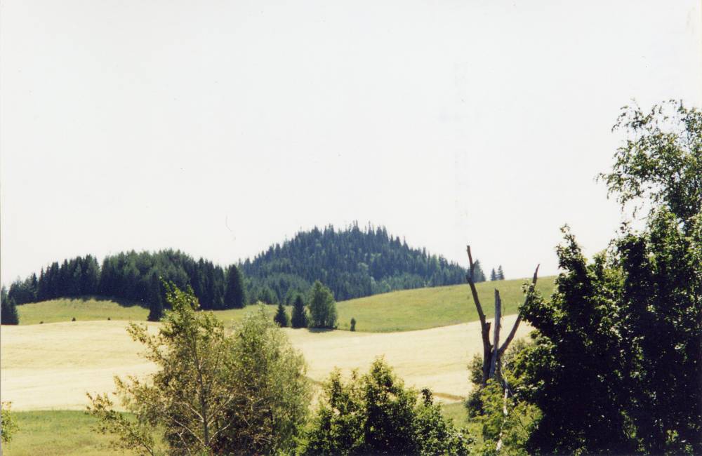 Священное возвышение /гора шарканских удмуртов Каргурезь (‘городищенская гора’)
