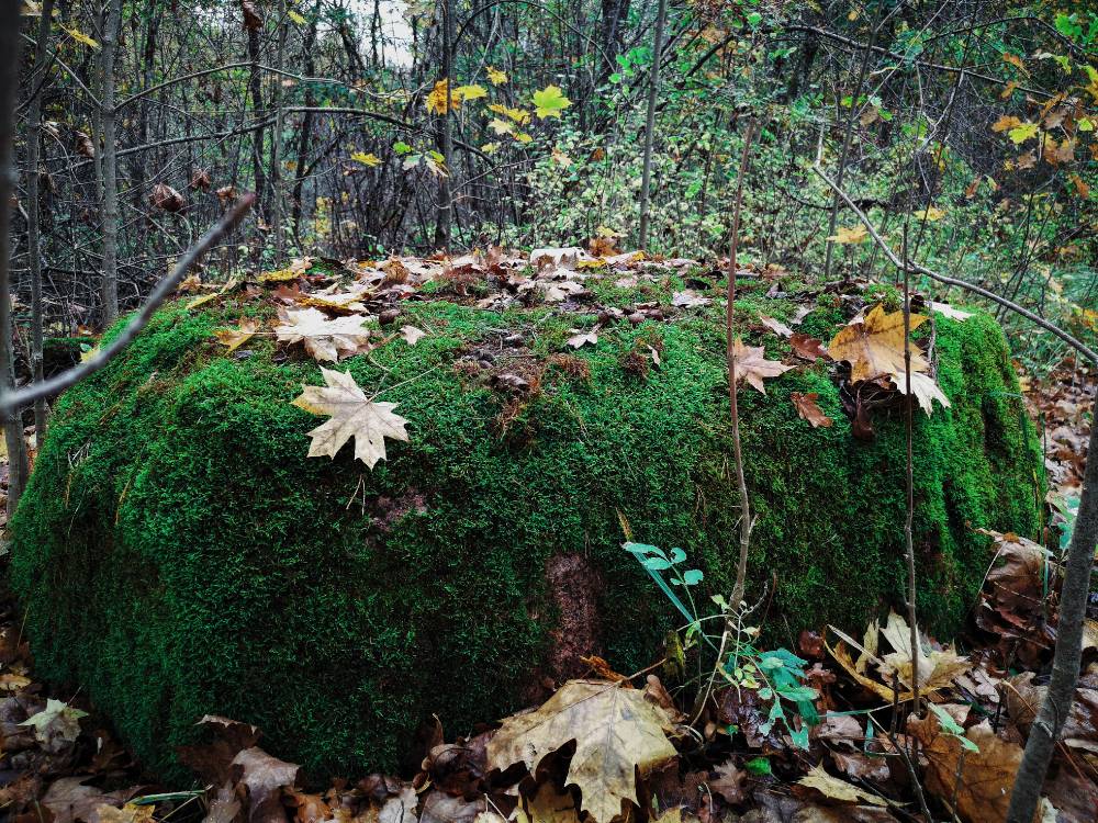 Kivisaare hiie püha kivi