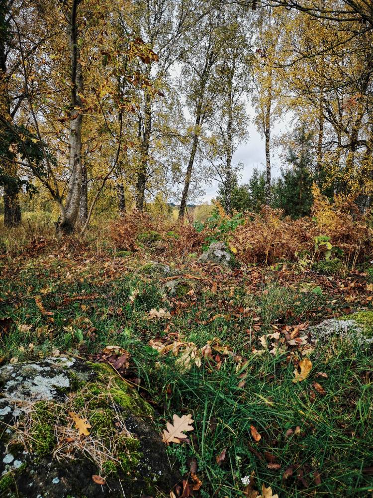 Hiiejumala kivikalme