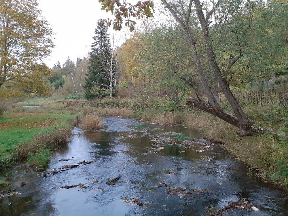 Священная река Пюхайые, ручей Алуоя.