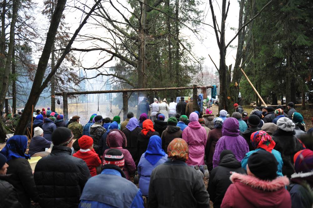 Роща Шорното