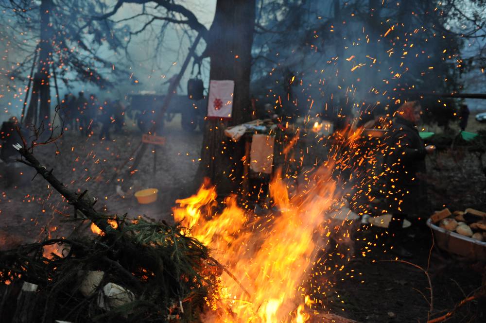 Роща Шорното