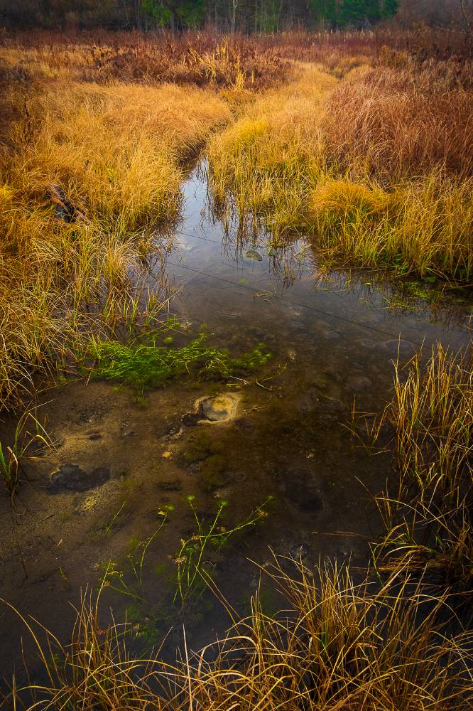 Sügisene Tohtreallikas