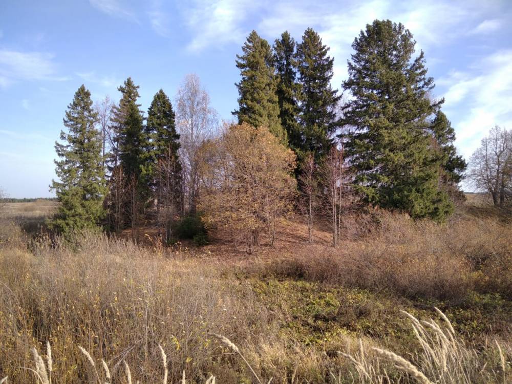 Священная роща Чома керемет