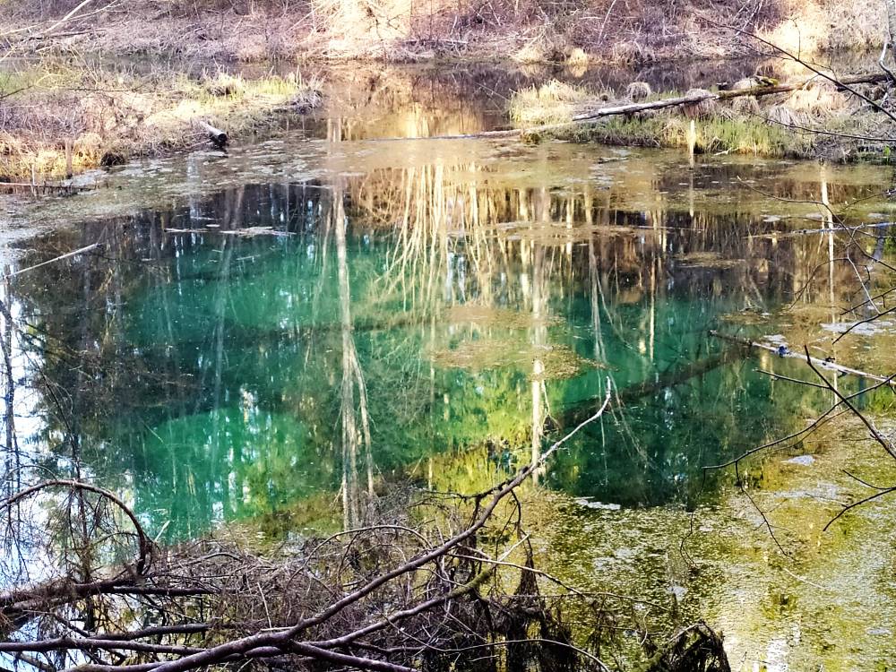 Õhtune päike Siniallikal