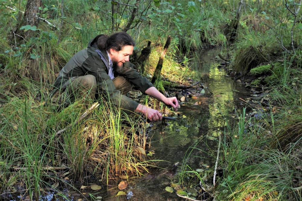 Hõbevalget allikale