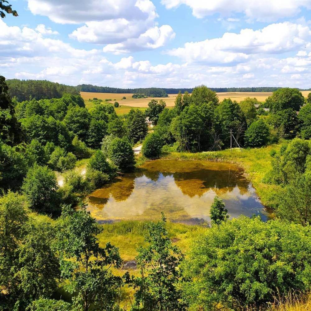 Древнее языческое капище у д.Радогоща