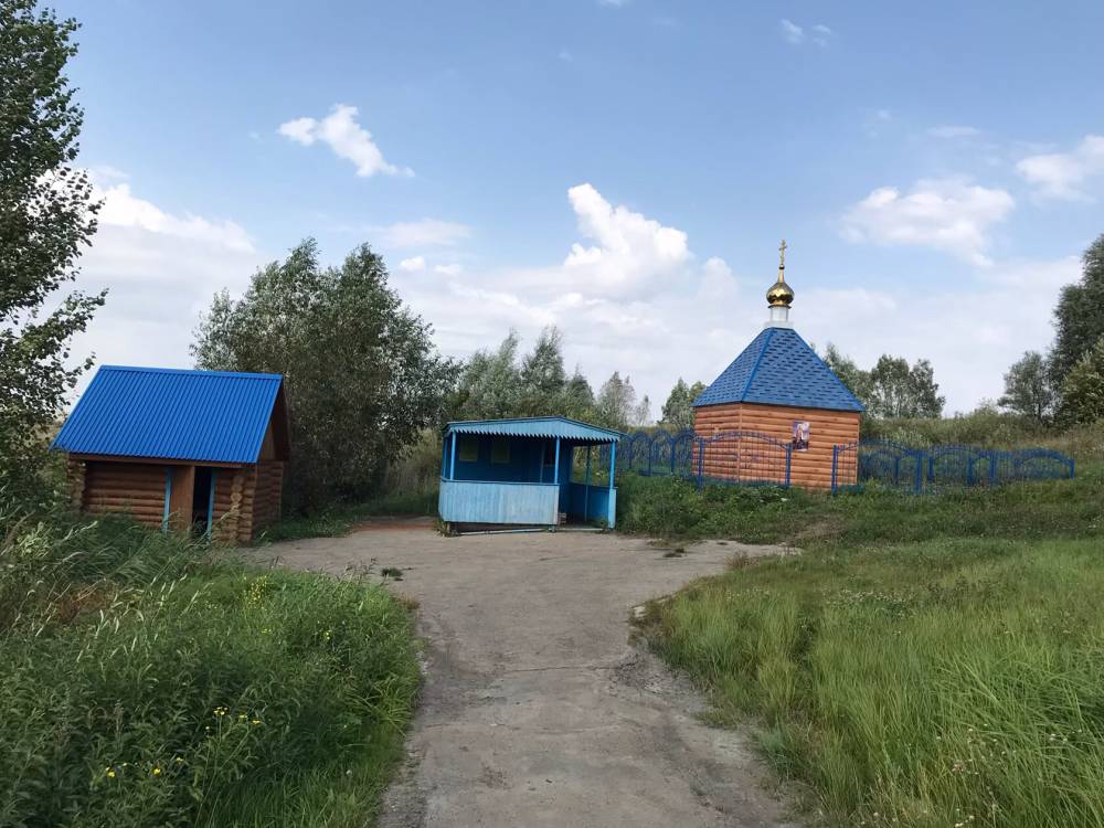 Родник в честь Боголюбской иконы Божьей Матери.