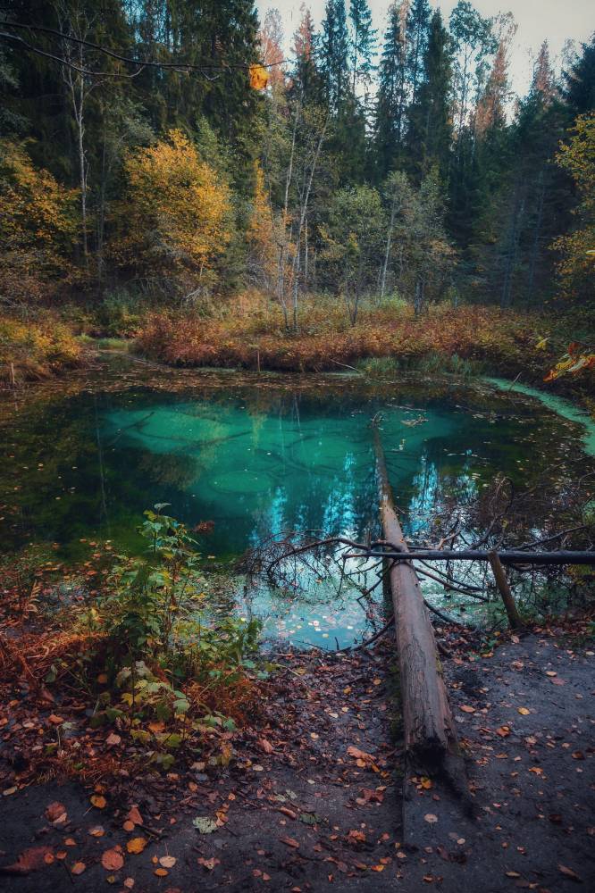 Saula ohvriallikad e. siniallikad